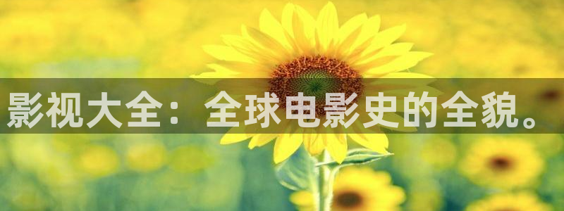 飘雪影视高清在线观看