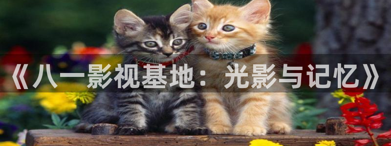 飘雪影院电视剧在线播放
