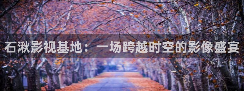 飘雪影院免费：石湫影视基地：一场跨越时空的影像盛宴