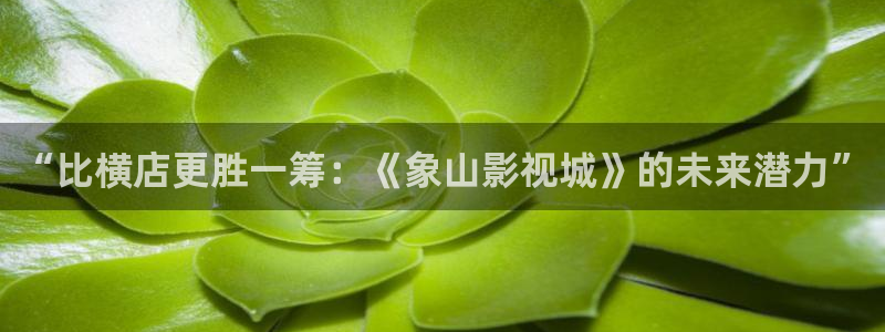 飘雪影院在线免费观看