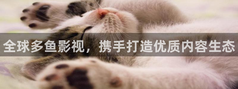 飘雪影院在线观看高清完整版：全球多鱼影视，携手打造优质内容生态