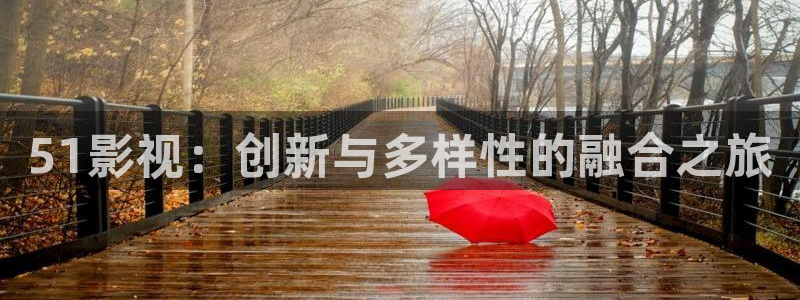 飘雪影院在线观看高清动漫：51影视：创新与多样性的融合之旅